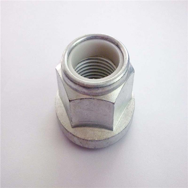 Nylon Insert Hexagon Flance Fock Fock Case